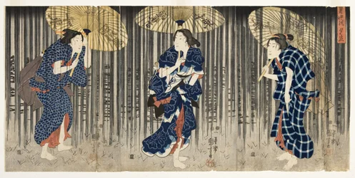 Banho repentino no verão, c.1849-51 (xilogravura)